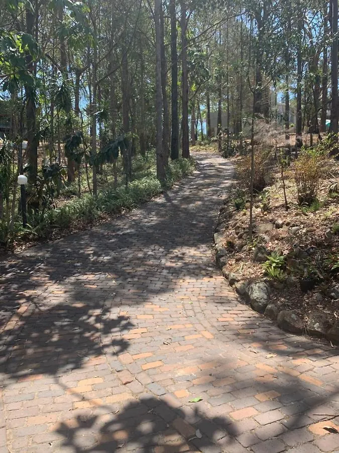 Where The Forest Meets The Sea On The Gold Coast Tallebudgera 0*,  Australia