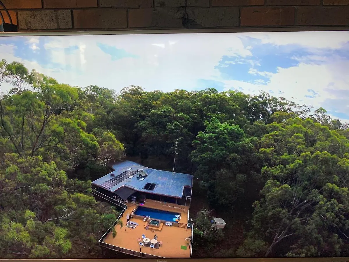 Where The Forest Meets The Sea On The Gold Coast Tallebudgera Australia